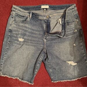 Lane Bryant Blue Denim Jeans